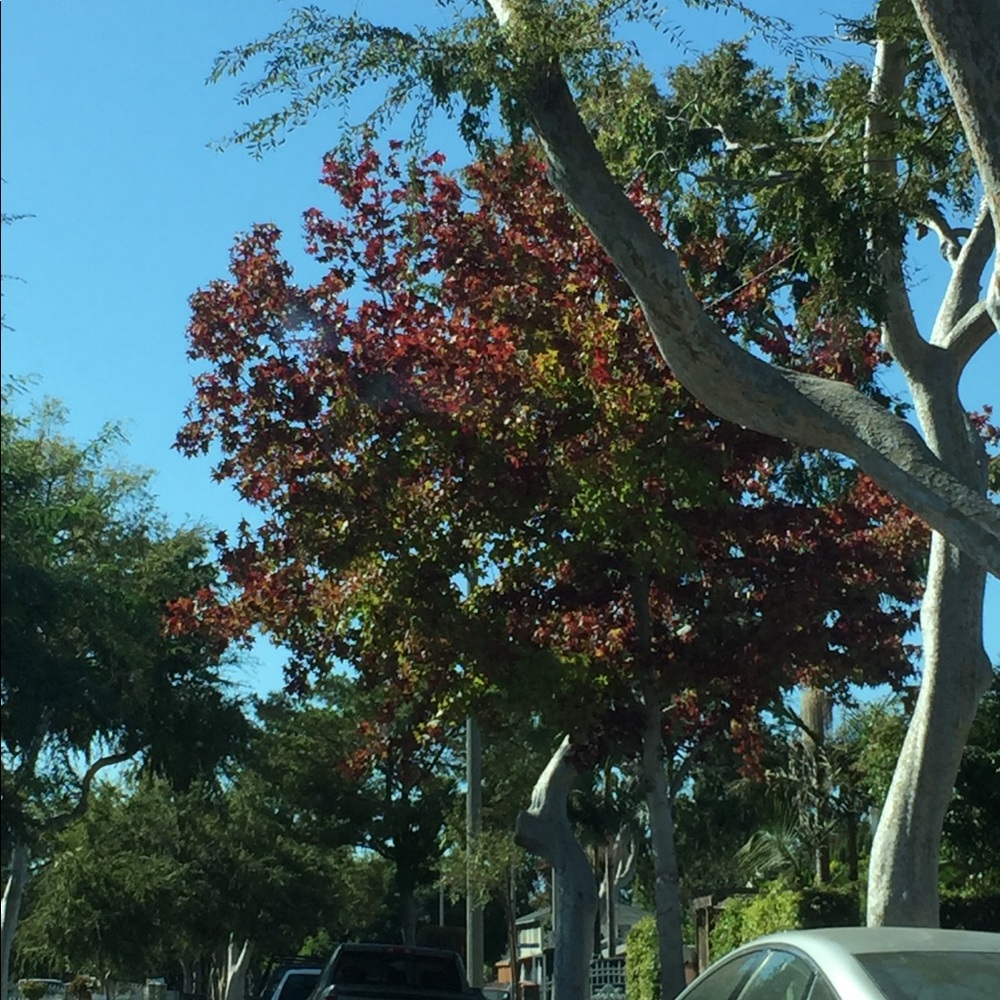 Meet your Posher, Kriss